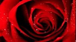 neeleshvishwak6's tweet image. sachindua.net@gmail.com