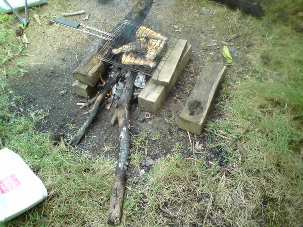 mhendra_een's tweet photo. ni iwaknya sore tadi mancing @zul_fahlefi @rullyadinata http://t.co/xFlozzlG