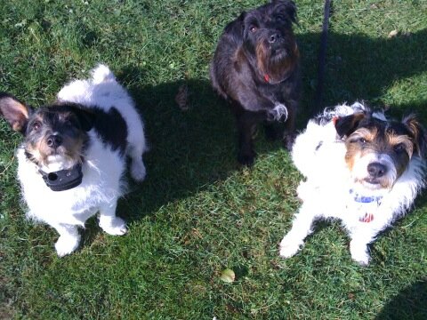 "Yep Bored! Now what"?