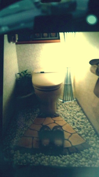 山田りこ A Twitter Beloved Yh これって 山田涼介家のトイレなんですか