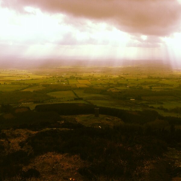 MaggieCollins91's tweet image. Sunday morning stroll #devilsbit
