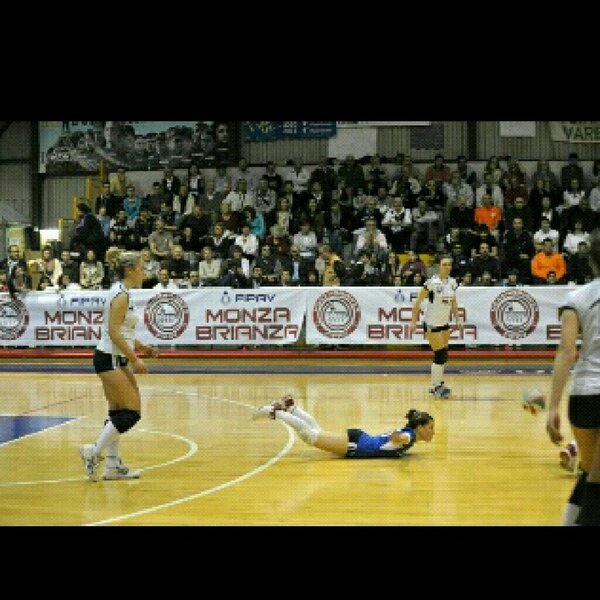 Francesca Avisani Franciavi03 Twitter