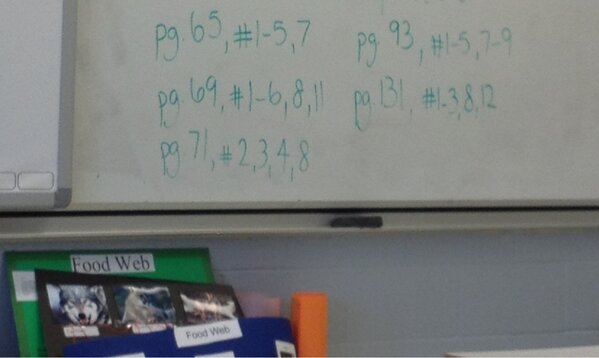 rebecca_whelan's tweet image. Ms perry is a really good teacher #EveryClass #QuestionsForDays