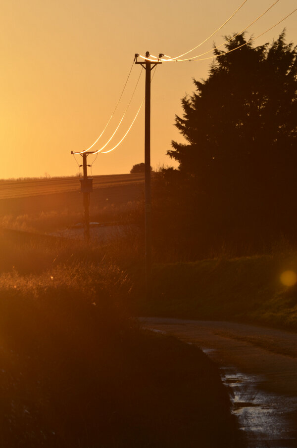 beaumos's tweet image. Sunset on the wires #greywell #photography