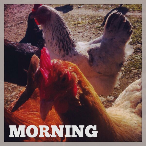 harrymann's tweet image. Countryside @madewithOver #textography