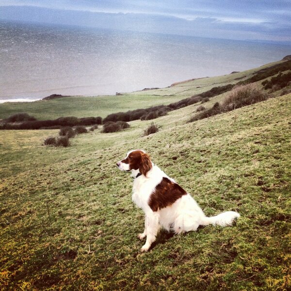 BaileyBo_'s tweet photo. Me on a hill #nomakeup #natural http://t.co/btSbLkda