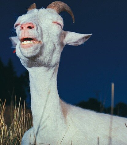 h20llie's tweet photo. when the person next to you smells really good http://t.co/st7mUPjM