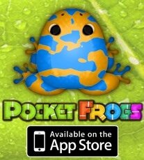 AlabamaSNA's tweet photo. Check out the Orange Caelus Velatus from my Pocket Frogs collection!#@# http://t.co/NhG5tnLV