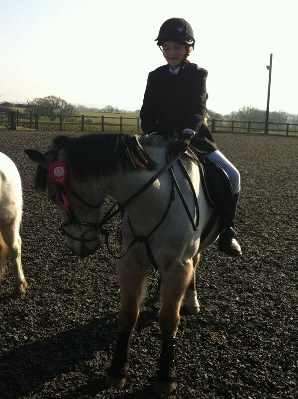 FindAPony's tweet image. Gus getting a 5th :)