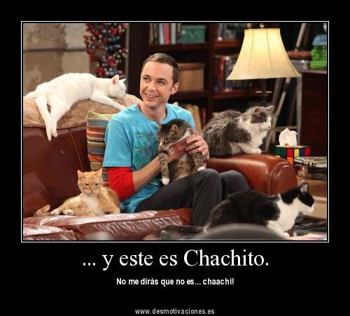 DSheldon_Cooper's tweet photo. #NombresBonitos Chachito... http://t.co/ZZxlRVOO