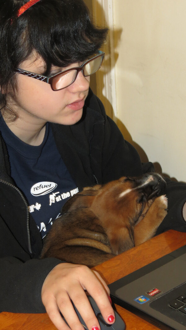 Working while the other one snoozes! Sleeping away in puppy land! #puppy #dog #animalrescue #rescue