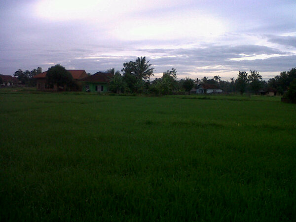 maswawancom's tweet image. Moga desbinnya gak cuma setahun sekali #NotJustEvent RT @fppi1: Para punggawa menuju pulang ke balam