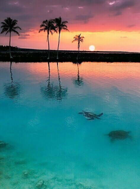 NaturPictures's tweet photo. Puesta de Sol en Kiholo Bay, Hawaii http://t.co/hXcEJ0mK