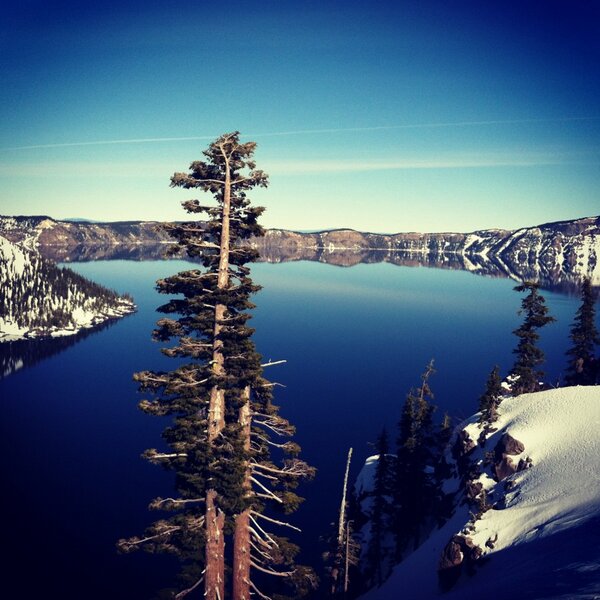 CorinneLongman's tweet photo. Snow shoeing at Crater Lake! http://t.co/4jrTvCf6