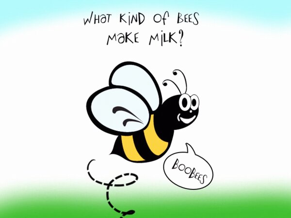 BCFpics's tweet photo. Boobees. http://t.co/9Gbvp1fs