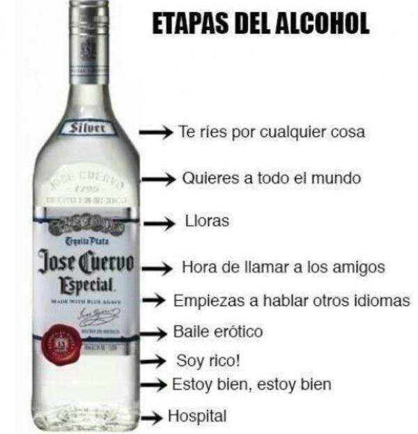 Etapas del alcohol: