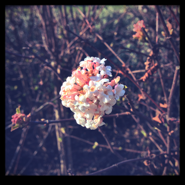 camera_fx's tweet photo. Just posted a photo (via @camera_fx) http://t.co/TMtzKy7l