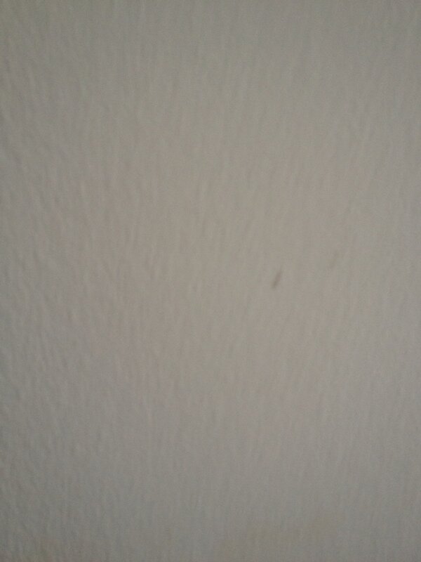 Scottish Beef Assoc tweet media