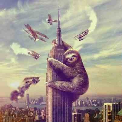 TheSexualSloth's tweet image. #KingSloth #SlothMovies