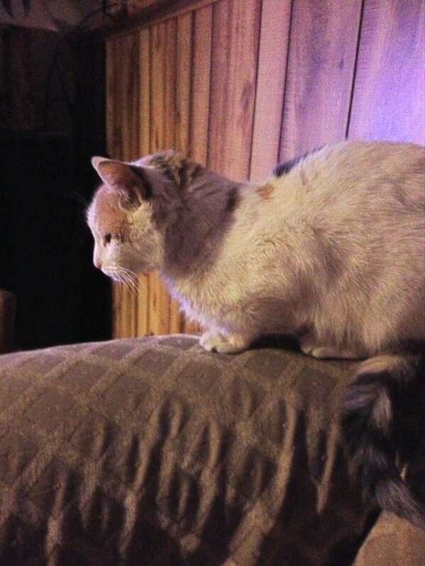 BernierBrittany's tweet image. I wanna go home already #febbreak