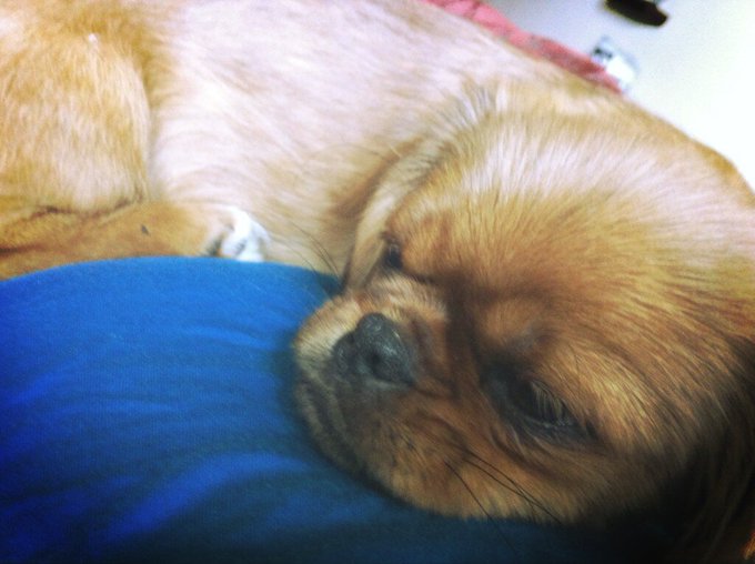 Watch Jǝѕѕica's leaked NSFW photo on TwXstars