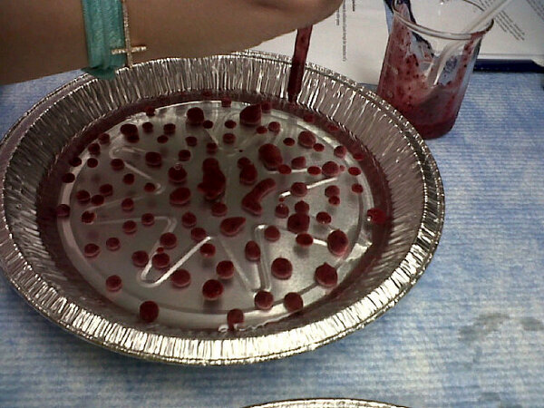 vani50691's tweet image. Berries, sugar, and calcium lactate #reverseSpherification I love my major!!