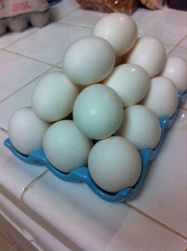 Dahveee's tweet image. Motha F'n egg pyramid! #proteinpyramid #BROtein #breakfastprep