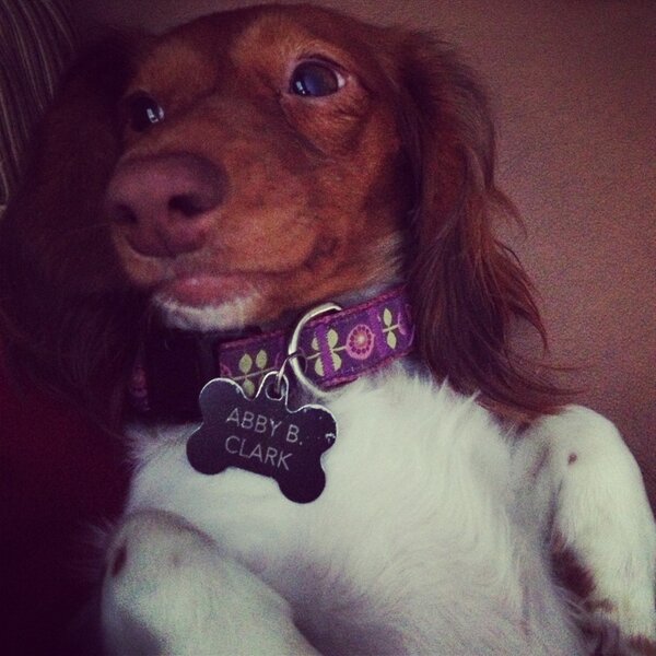 I continue to be the best aunt ever!!