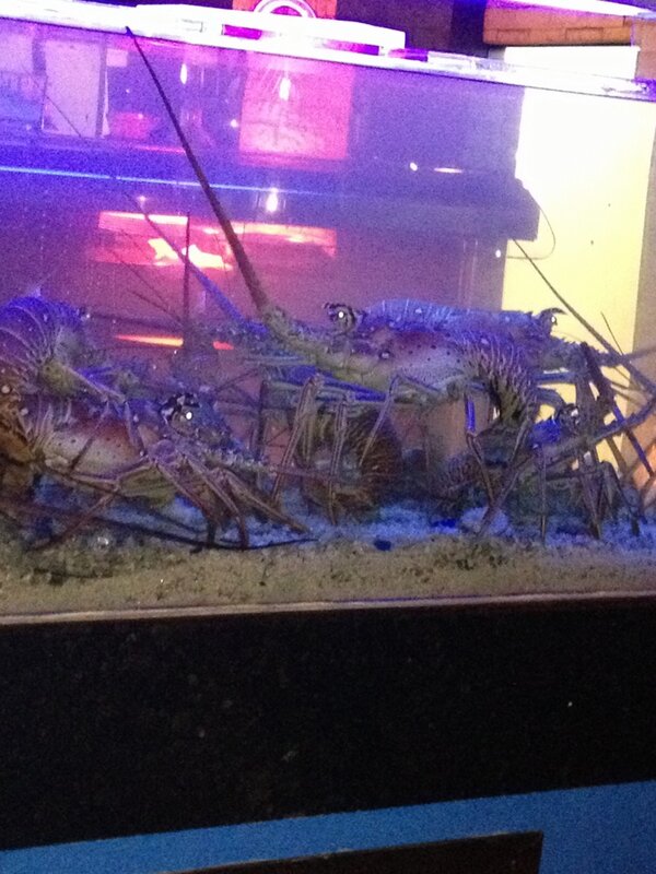 thebritishbear's tweet photo. Lobster bar with the gorgeous @AjaDanielle1 http://t.co/lGXHiTRr