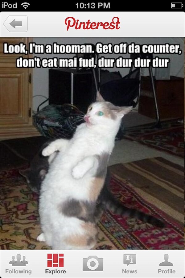 @Mallori_Mays and another....