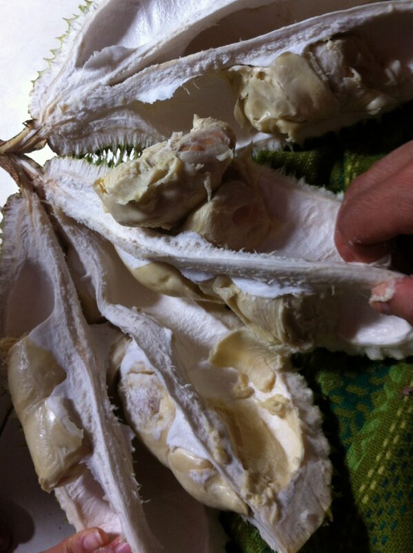 ariefktb's tweet photo. Pesta duren..., haseeekk :D http://t.co/hMdrSBVf