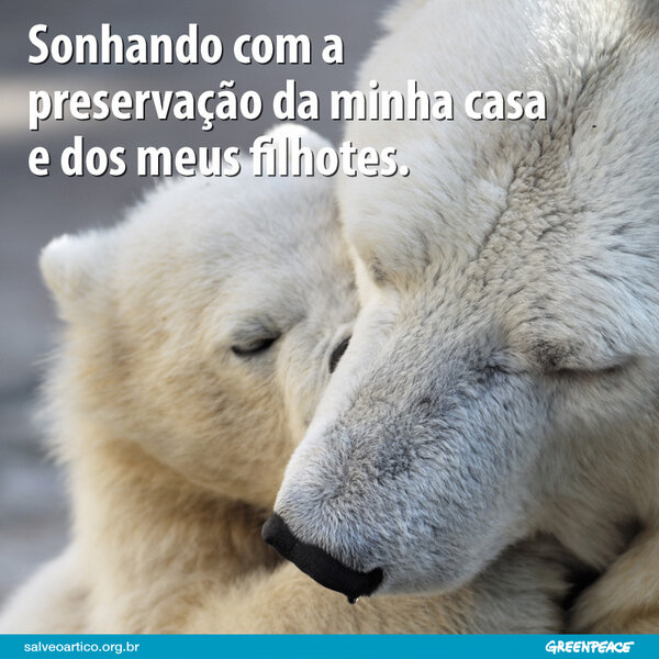 Greenpeace Brasil på Twitter: Greenpeace Brasil på Twitter: