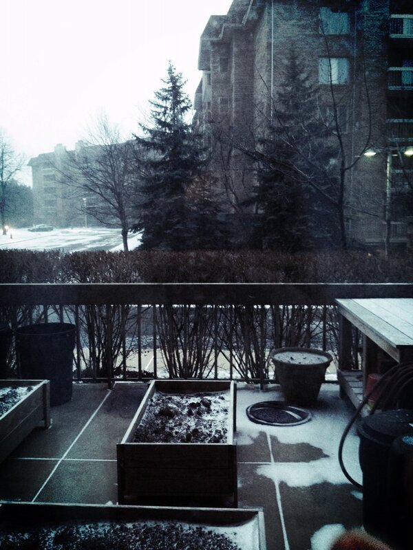 mboroughf's tweet photo. 17 degrees, windy, snowing #wintersucks http://t.co/VjkXZuxO