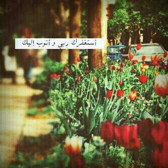 Mawed112 tweet picture