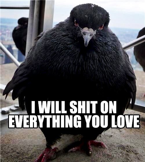 Emrah Gülkanat (@emrahgulkanat) on Twitter photo 