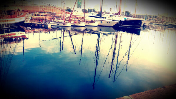 Perraco Labs tweet media