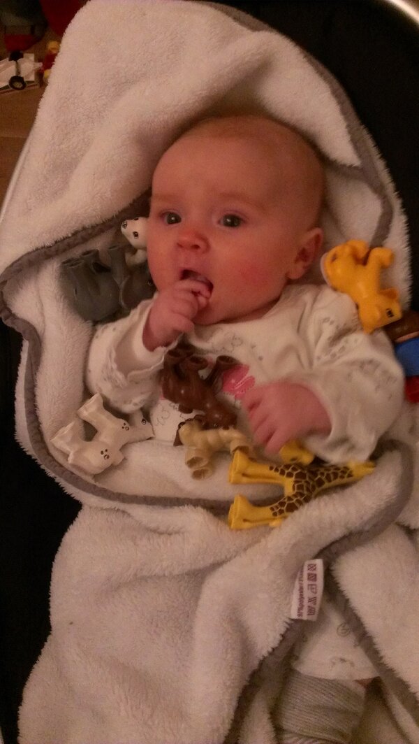 EvaJanssen_4's tweet image. Help. Mijn grote broer wil met me spelen... #Fiene #Duplo