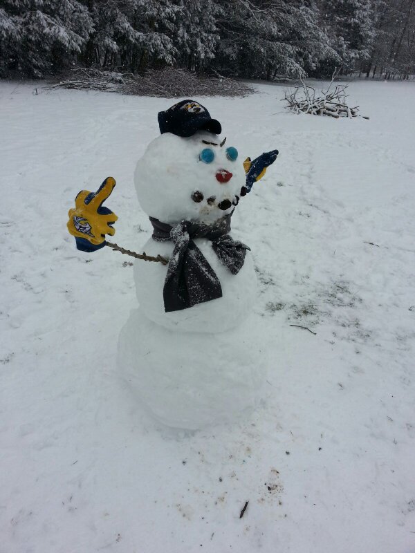 TwoToneTrav's tweet image. Vacation in PA this week, so here's a message to any Wings fans who infiltrate the Bridge in my absence! @PredsMemes