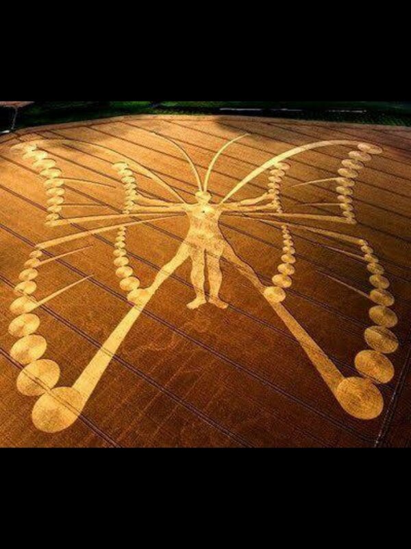 JtMcfly's tweet photo. Huge #cropcircle found in Holland in 2009. Symbol of expanding #humanconciousness? http://t.co/LFK5qnwu