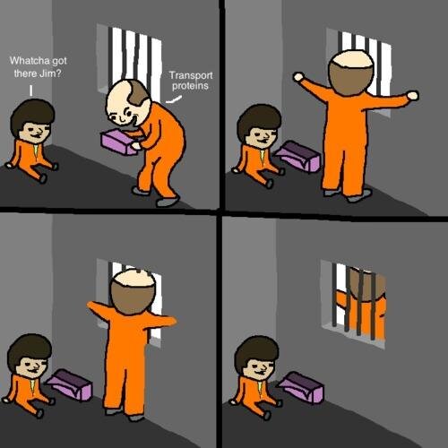 Dr Mala Mawkin Cell Wall Jokes Getting Me Through Holiday Homework Sciencejokes Http T Co Zxjw4jsz