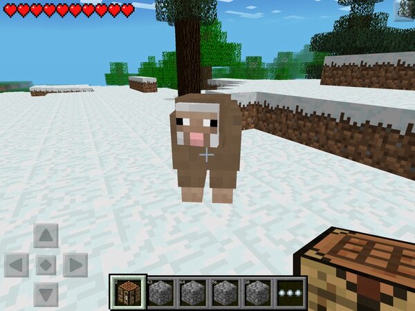 DominicMaroon's tweet photo. Found a brown sheep http://t.co/ndN75HpZ