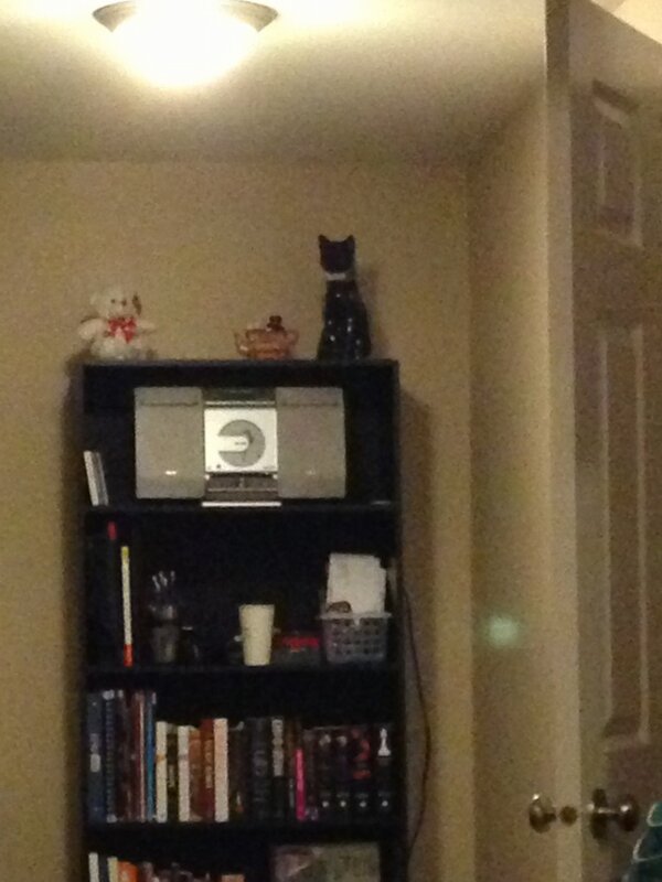 I fought with Zac for a good ten min before he let me put my glass kitty up there. #itsforprotection #wardoffevil