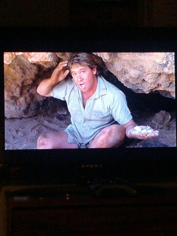 Loren_Stewart's tweet photo. Crocodile hunter! #brings #back #memories #old #crocidile http://t.co/80JDNRD3
