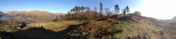 CFarrell55's tweet image. 