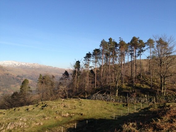 CFarrell55's tweet image. 