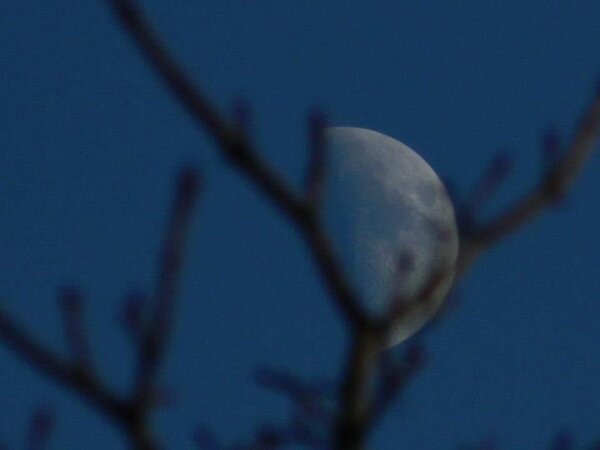 strangequark77's tweet photo. An "arty" #Moon picture @SianWeather @Astro_Lem @AstronomyChick @AstroPub @AstronomyFans @AstroTanja http://t.co/Axz3bxbZ