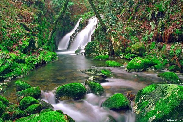 _Paisajes_'s tweet photo. Galicia. España. http://t.co/onvN9U6h