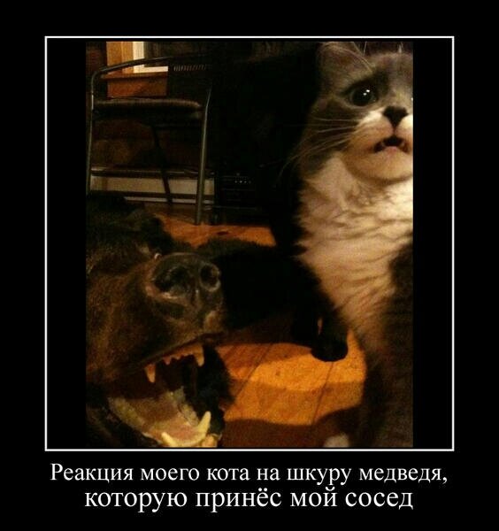 BazelVania10's tweet photo. http://t.co/YTCFIMxK