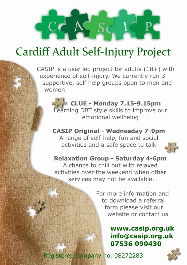 casipcardiff's tweet image. Here is our poster! #CASIP
