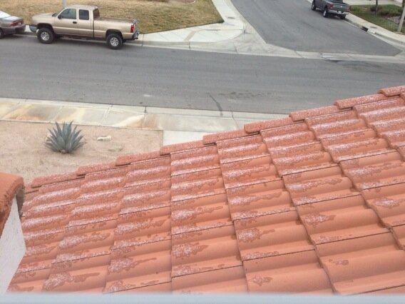 Snow although light on my roof this am. Wow winter wonderland. Goodmorning